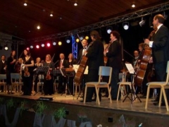 flipbook2011_gaesteorchester.jpg