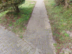 Goldfischteich_2022