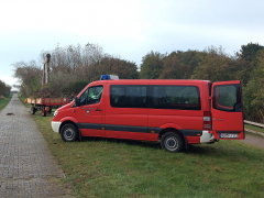 Goldfischteich_2022